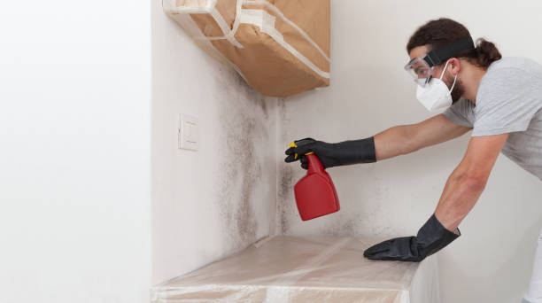 Professional Attic Mold Remediation technician working in Alexandria, MN