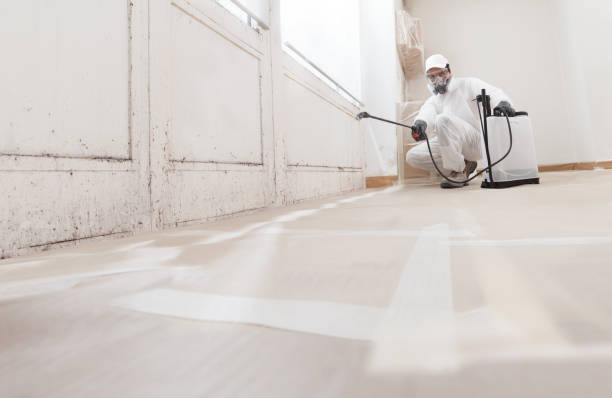 24/7 Emergency Attic Mold Remediation experts in Alexandria, MN